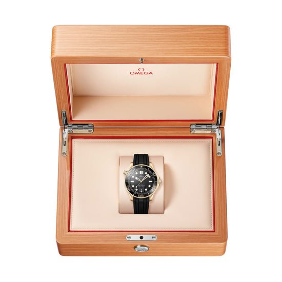 Omega Replica Watch Seamaster Diver 300M, 210.62.42.20.01.003.