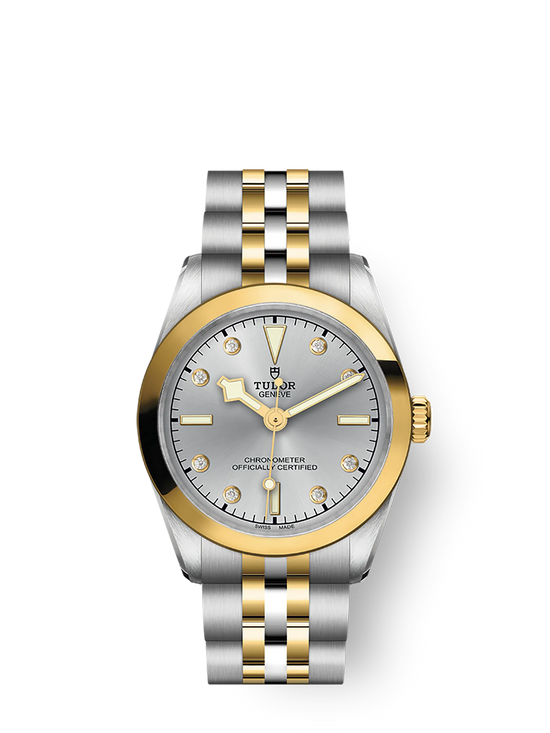 Tudor Replica Watch Black Bay 31 S &G, 316L Stainless Steel and 18k Yellow Gold, M79603-0007