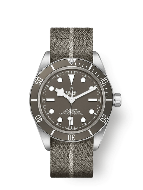 Tudor Replica Watch Black Bay Fifty-Eight 925, 39mm, 925 Silver, M79010SG-0002